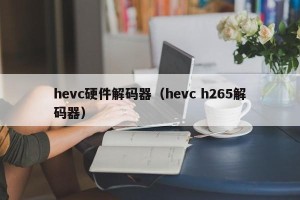 hevc硬件解码器（hevc h265解码器）