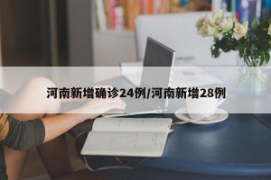 河南新增确诊24例/河南新增28例