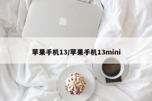 苹果手机13/苹果手机13mini